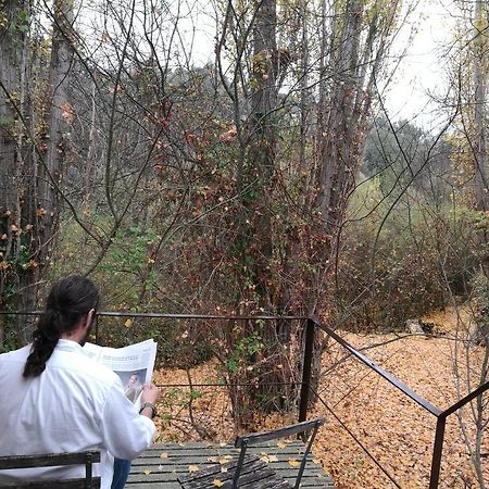 Rusticae Molino De Los Gamusinos Affittacamere Tolbaños Esterno foto