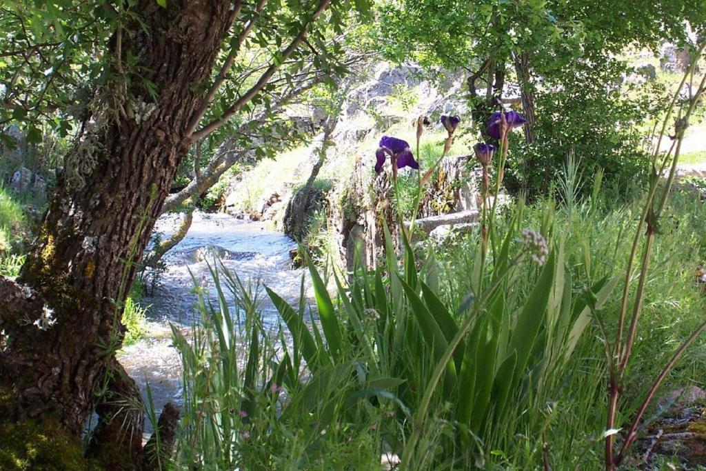 Rusticae Molino De Los Gamusinos Affittacamere Tolbaños Esterno foto
